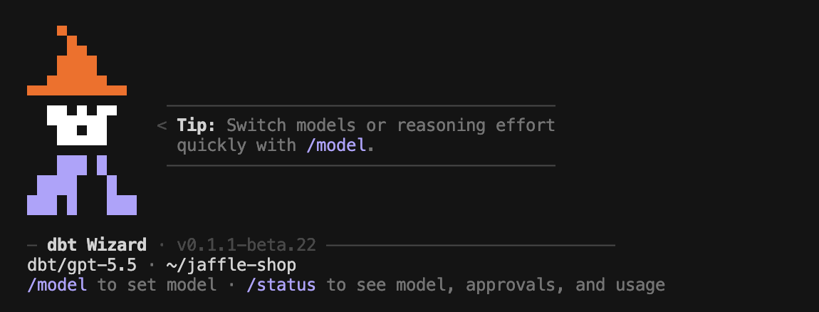 A dbt Wizard session running in the terminal A dbt Wizard session running in the terminal